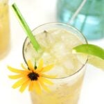 A drink for the Preakness Stakes, the Black-Eyed Susan Cocktail is so named for the Maryland-shaped blanket of yellow flowers that is draped around the winner's neck. Vodka and elderflower liqueur join pineapple, orange and lime juices for a sunny drink worthy of race-watching. (via feastandwest.com)