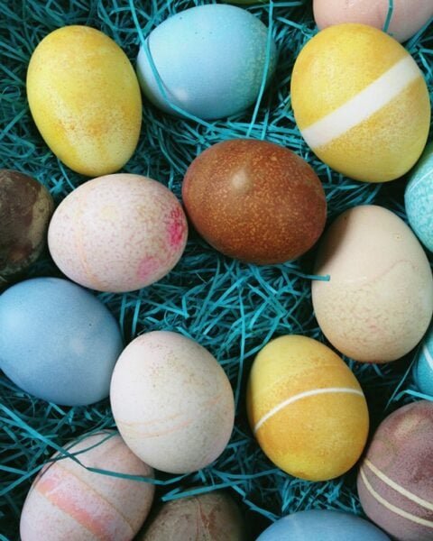 Natural Egg Dyes // Feast + West