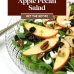 A clear bowl of apple pecan salad with arugula, apple slices, pecans, dried cranberries, and crumbled cheese, served with a fork on the side and drizzled with zesty apple dressing.