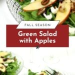 A green salad with sliced apples, pecans, dried cranberries, and crumbled cheese on a glass plate, served with a fork. Text overlay: "Fall Season Green Salad with Apples and Zesty Apple Dressing.