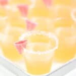 From Cinco de Mayo to the end of summer, celebrate everything with a round of Paloma Jello Shots! Packed with delightful grapefruit flavor, give these tiny tequila treats a salted rim and a cute candy garnish. (via feastandwest.com)