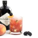 Sip on a Blackberry Peach Bramble. Made with fresh blackberries, peaches and honey, plus fragrant gin, this cocktail is the farmers market in a glass. (via feastandwest.com)
