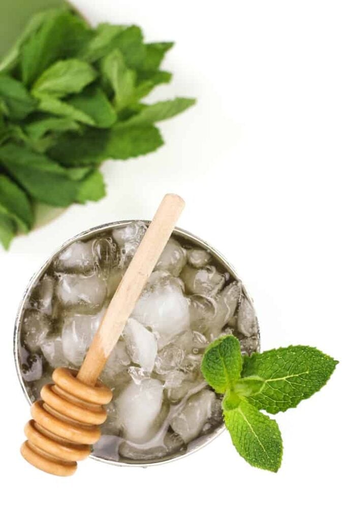 Honey Whiskey Mint Julep Feast + West