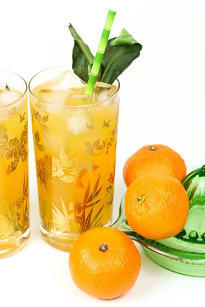 Mandarin Orange Gin & Tonic Feast + West