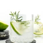 A gin and tonic sits on a gray stone coaster.