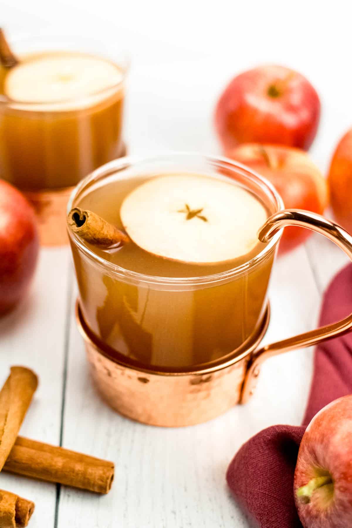 https://feastandwest.com/wp-content/uploads/2023/08/homemade-apple-cider-pic.jpg