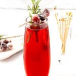 A red drink with rosemary and cranberries in a glass.