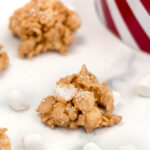 A tray of cookies with marshmallows and graham crackers.