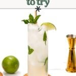 A tall glass of mojito garnished with mint and lime sits on a coaster, with a jigger, whole lime, and spoon nearby on a white surface. Text reads: "the best rums for Summer Cocktails.