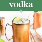 Copper mugs with iced cocktails and lime wedges sit on a white surface beside cocktail tools. Text reads "Vodka Guide: How to Choose the Perfect Vodka.