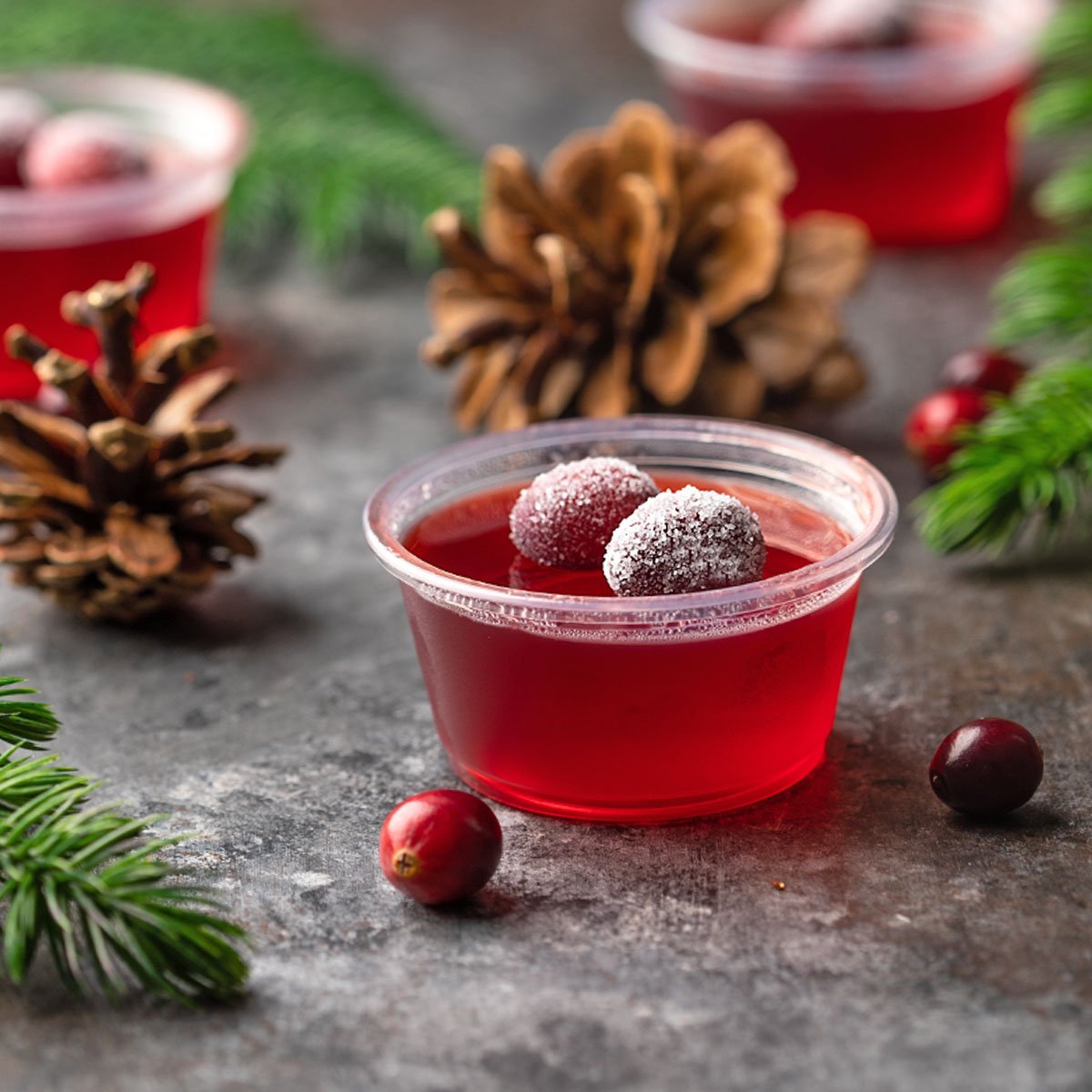 A small plastic cup filled with red gelatin topped with sugared cranberries, surrounded by pinecones, fir branches, and loose cranberries on a gray surface.
