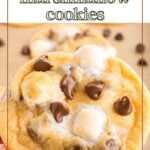 A close-up of a chocolate chip marshmallow cookie held in hand, with more cookies and scattered chocolate chips in the blurred background.