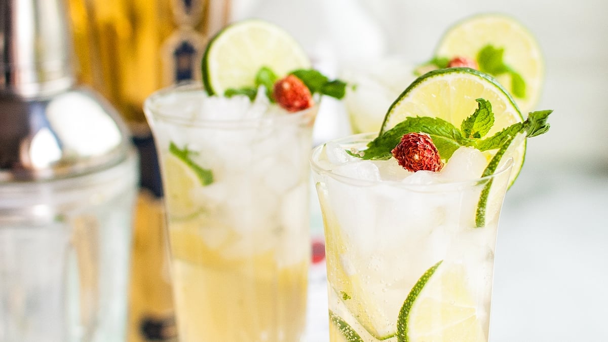 Close-up of glasses filled with iced cocktails, garnished with lime slices, mint leaves, and a small red berry, with a cocktail shaker visible in the background.