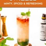 A tall cocktail glass with a layered Queens Park Swizzle drink, garnished with mint, surrounded by a bottle of bitters, jigger, and fresh mint on a white background.