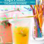 Two clear drink pouches with colorful drinks and fruit slices inside, surrounded by various colorful drinking straws on a white surface.