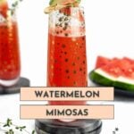A tall glass of watermelon mimosa garnished with a watermelon wedge and thyme, with watermelon slices and another mimosa in the background. Text reads "Watermelon Mimosas.