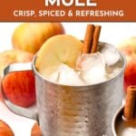 A metal mug filled with ice, apple cider, a cinnamon stick, and an apple slice, surrounded by fresh apples; text promotes an apple cider mule recipe.