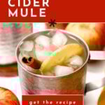 A metal mug with ice, apple slice, and cinnamon stick, surrounded by apples, promotes an apple cider mule recipe.