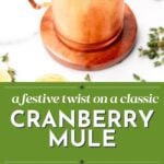 A copper mug filled with a refreshing cranberry mule cocktail, garnished with cranberries, lime, and thyme, is surrounded by cocktail ingredients and text reading "Cranberry Mule.