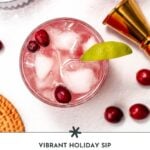 Overhead view of a cranberry mocktail with ice, cranberries, and a lime wedge in a glass, surrounded by cranberries, a jigger, and part of a woven coaster.