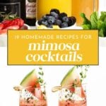 Assorted bottles of champagne and orange juice with fresh fruit, plus two glasses of red mimosa cocktails garnished with melon and herbs. Text reads "19 Homemade Mimosa Recipes for Cocktails.