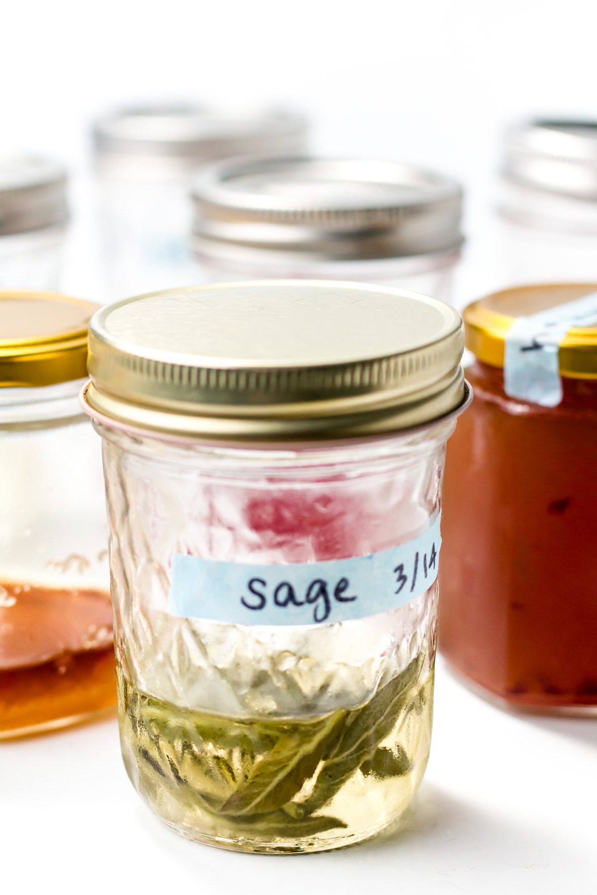 A jar labeled "sage" with leaves in liquid, surrounded by other jars with metal lids.