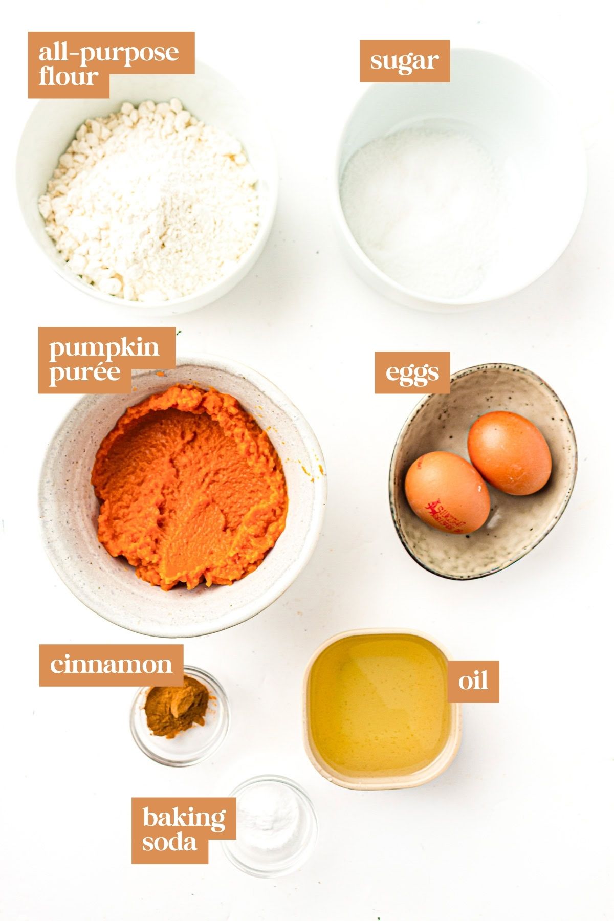 Bowls of flour, sugar, pumpkin purée, eggs, cinnamon, oil, and baking soda arranged on a white surface.