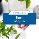 Iced basil mojito in a glass with a straw, lime wedge, and basil garnish; plants in the background.