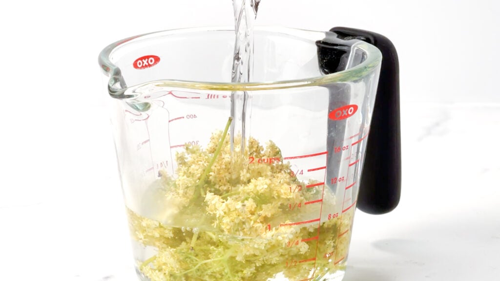 Water being poured into a glass measuring cup filled with fresh elderflowers on a white background, perfect for crafting homemade elderflower lemonade.