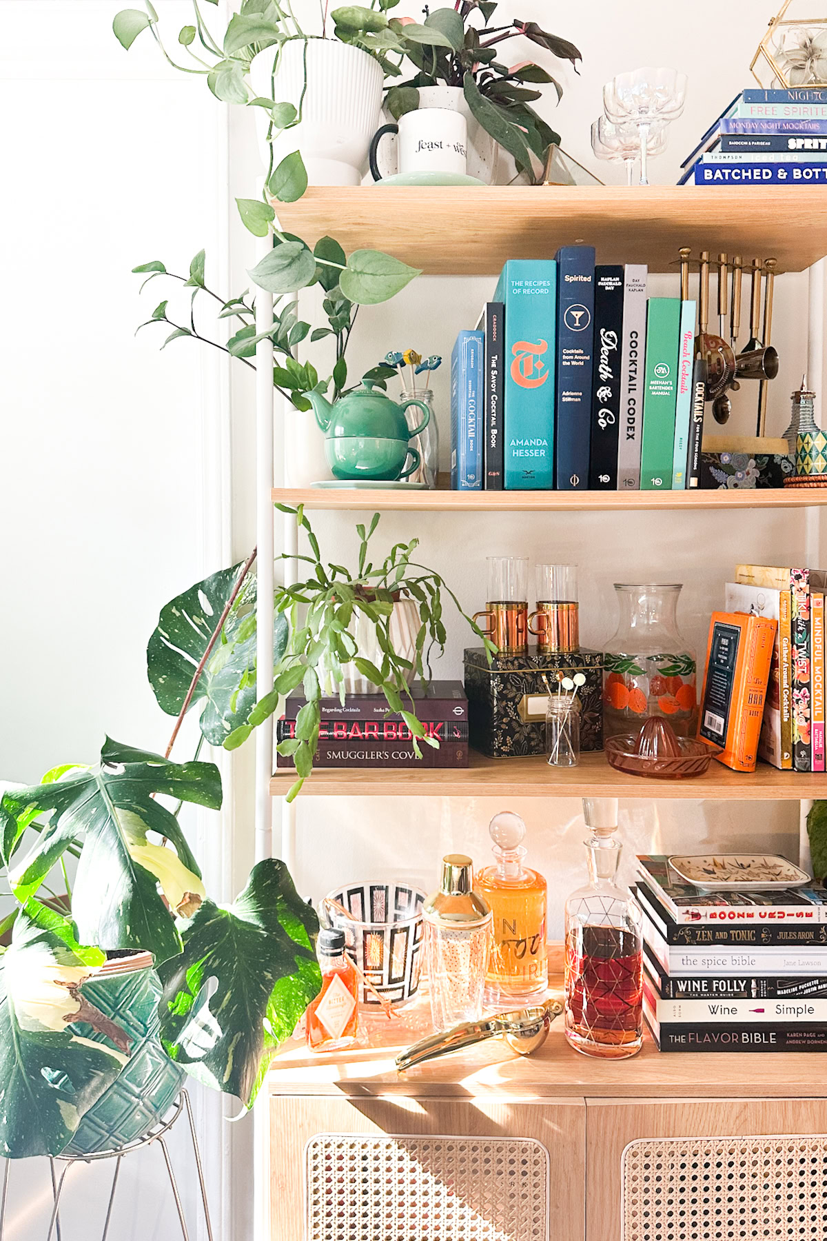 Wood shelves with plants, books, glassware, and bottles—perfectly arranged to help you stock your bar with some of the best alcohol brands—catch the eye in bright natural sunlight.
