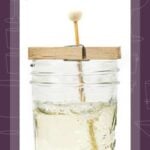 A jar with clear liquid and a stick, demonstrating how to make homemade rock candy.