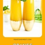 Two orange drinks garnished with mint and orange slices, with the text “Orange Cocktail & Mocktail Ideas.”